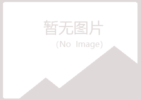 嘉禾县夜山制造有限公司